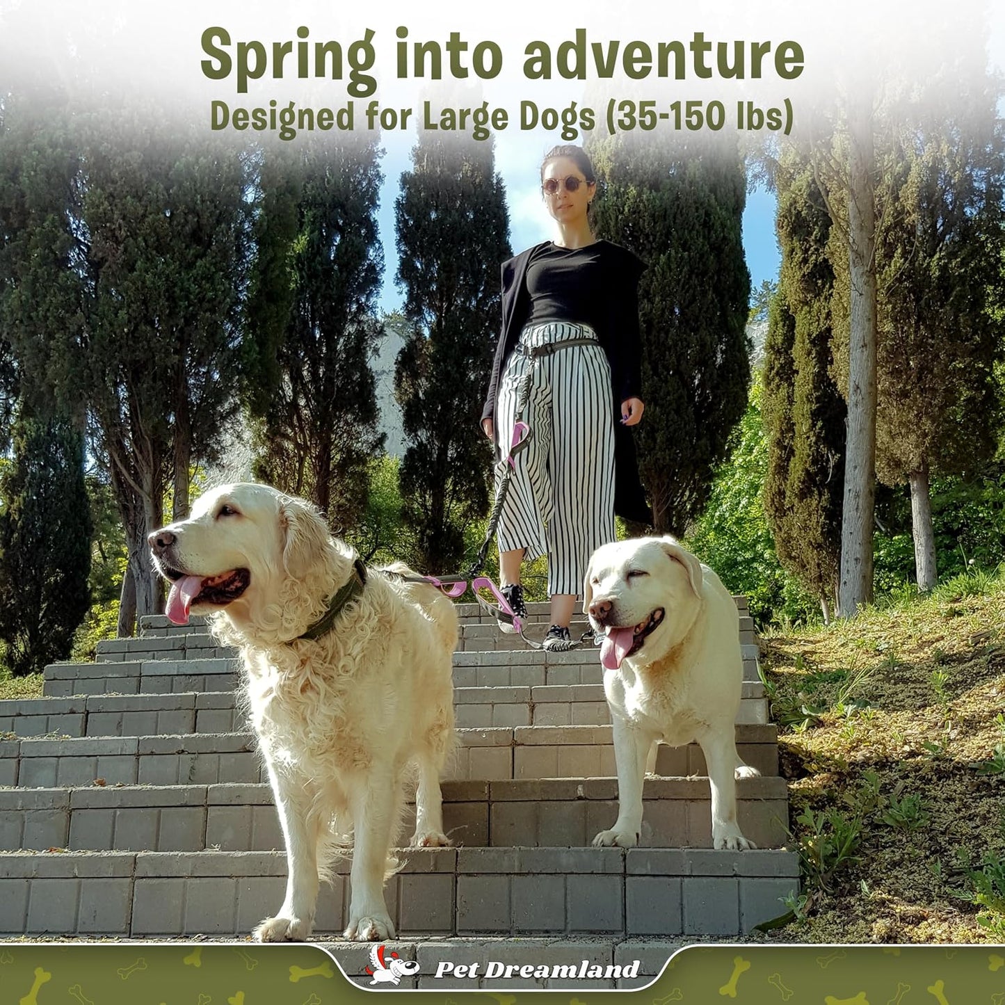 Exquisite Hands Free Dual Dog Leash for Large Dogs. Trending Waist Leash for Walking 2 Dogs No Tangle. You Will Absolutely Love This Amazing Double Dog Gear (Dark Grey & Pink)