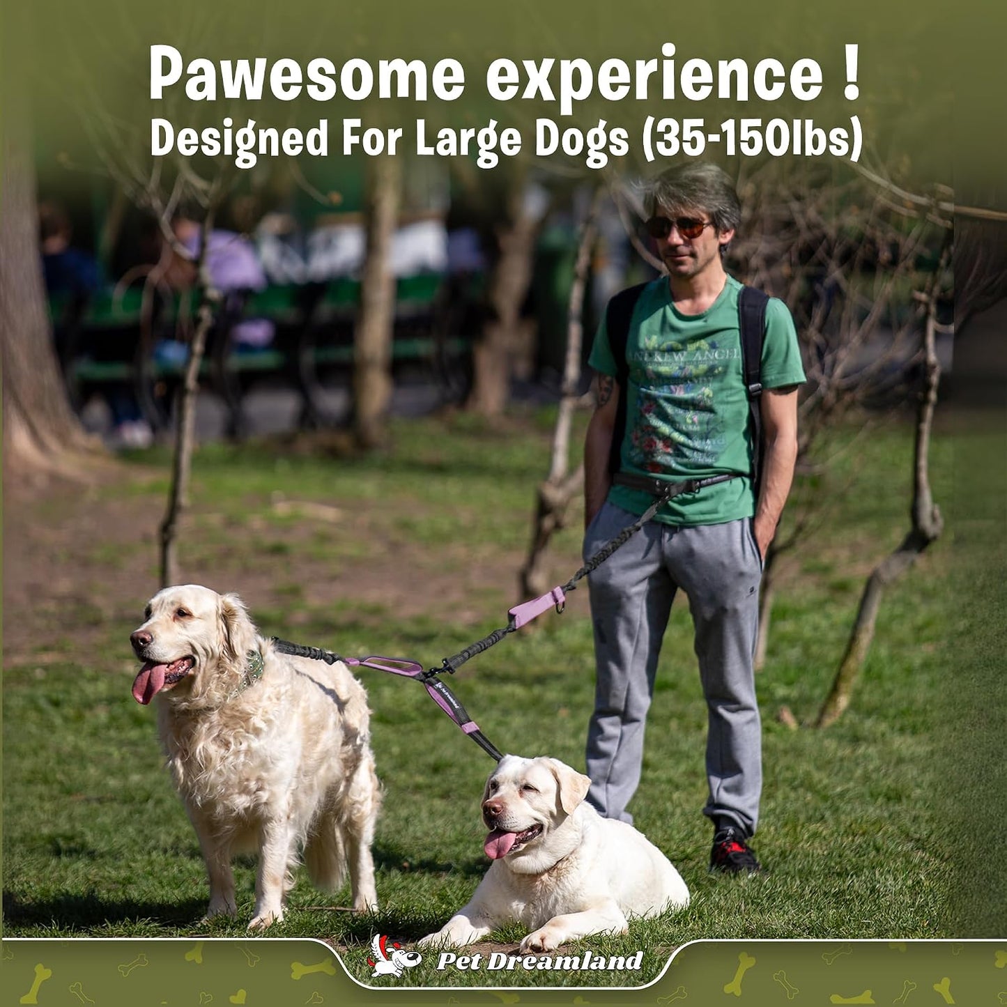 Exquisite Hands Free Dual Dog Leash for Large Dogs. Trending Waist Leash for Walking 2 Dogs No Tangle. You Will Absolutely Love This Amazing Double Dog Gear (Dark Grey & Pink)